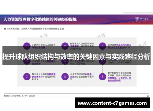 提升球队组织结构与效率的关键因素与实践路径分析