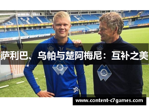 萨利巴、乌帕与楚阿梅尼：互补之美