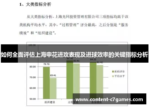 如何全面评估上海申花进攻表现及进球效率的关键指标分析