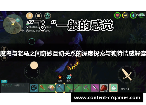 魔鸟与老马之间奇妙互动关系的深度探索与独特情感解读