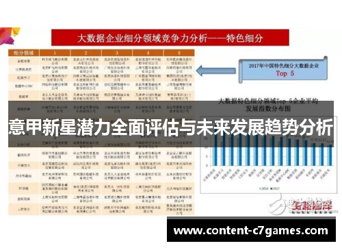 意甲新星潜力全面评估与未来发展趋势分析
